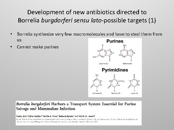 Development of new antibiotics directed to Borrelia burgdorferi sensu lato-possible targets (1) • Borrelia