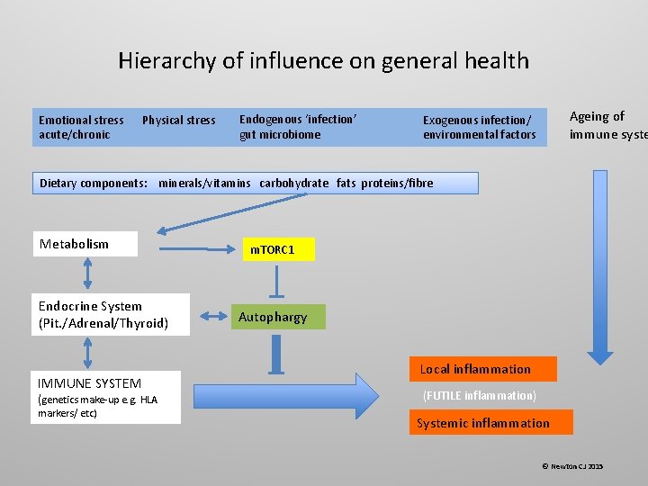 Hierarchy of influence on general health Emotional stress acute/chronic Physical stress Endogenous ‘infection’ gut