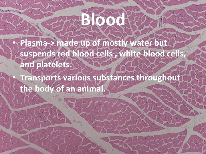 Blood • Plasma-> made up of mostly water but suspends red blood cells ,