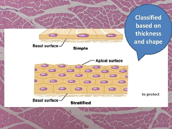 Classified based on thickness and shape to protect 