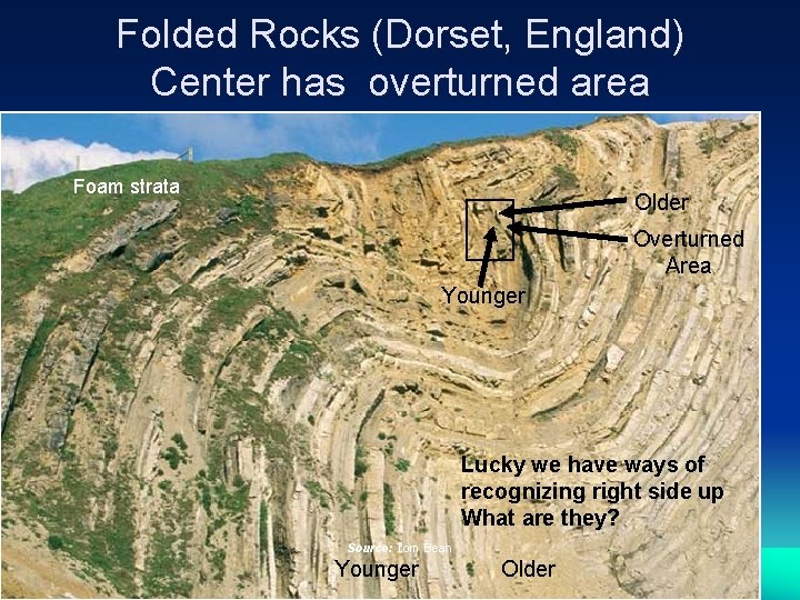 Folded Rocks (Dorset, England) Center has overturned area Foam strata Older Overturned Area Younger