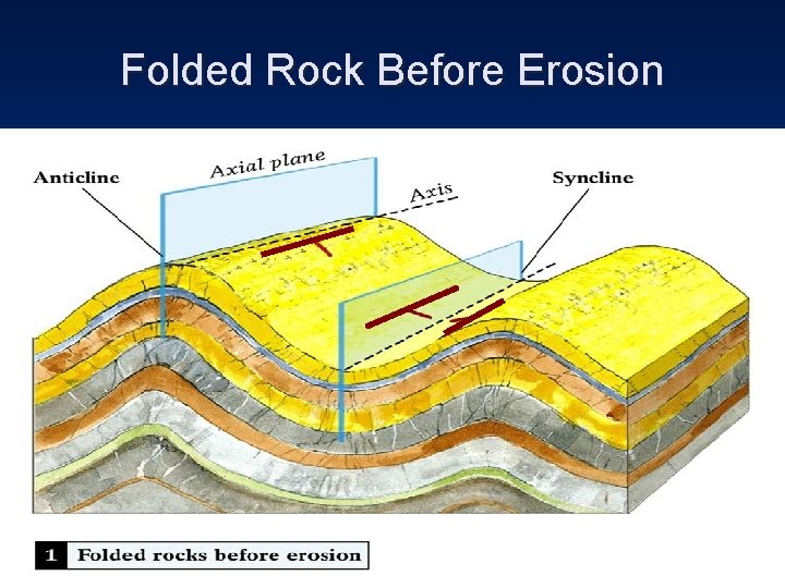 Folded Rock Before Erosion 
