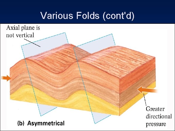 Various Folds (cont'd) 