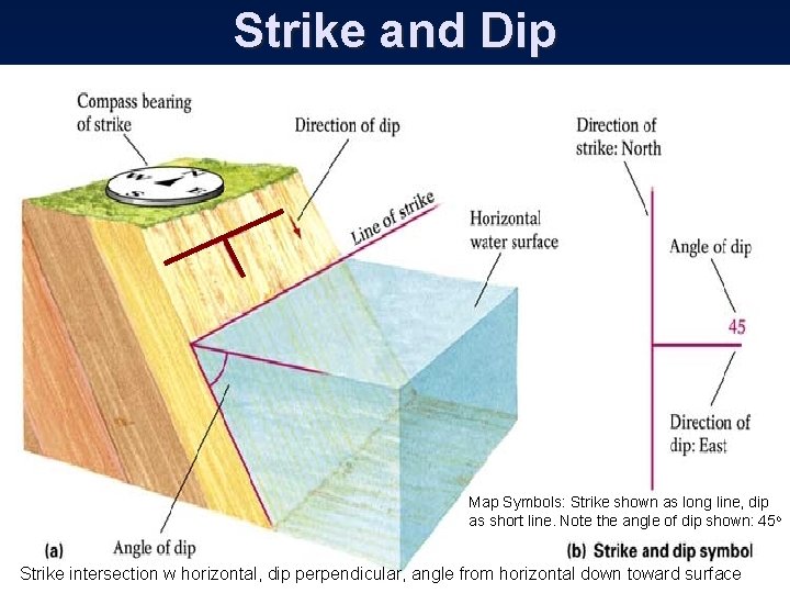 Strike and Dip Map Symbols: Strike shown as long line, dip as short line.