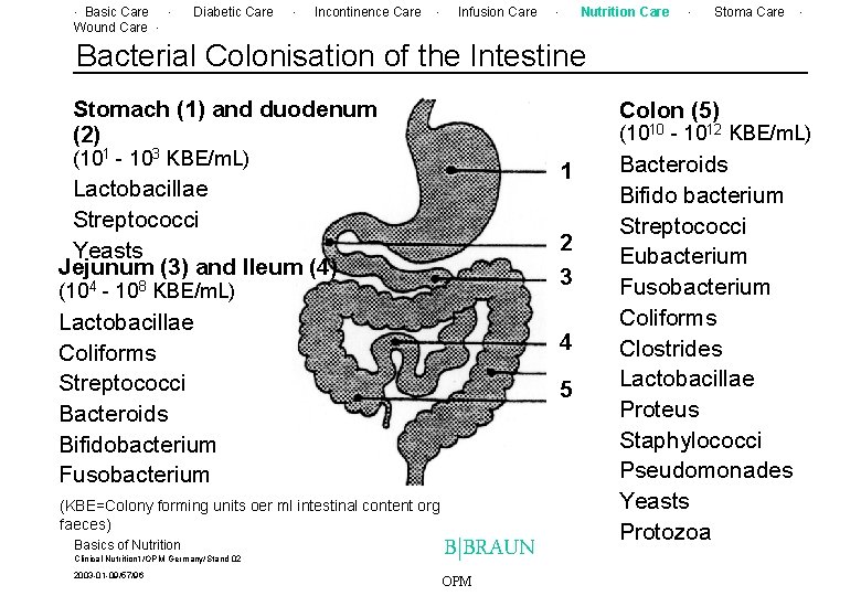 . Basic Care. Wound Care. Diabetic Care . Incontinence Care . Infusion Care .