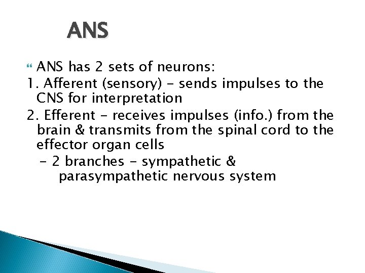 ANS has 2 sets of neurons: 1. Afferent (sensory) - sends impulses to the