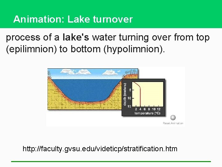 Animation: Lake turnover process of a lake's water turning over from top (epilimnion) to