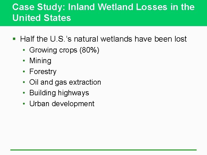 Case Study: Inland Wetland Losses in the United States § Half the U. S.