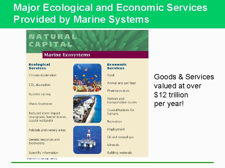 Major Ecological and Economic Services Provided by Marine Systems Goods & Services valued at
