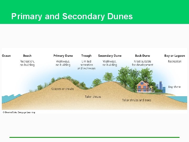 Primary and Secondary Dunes 