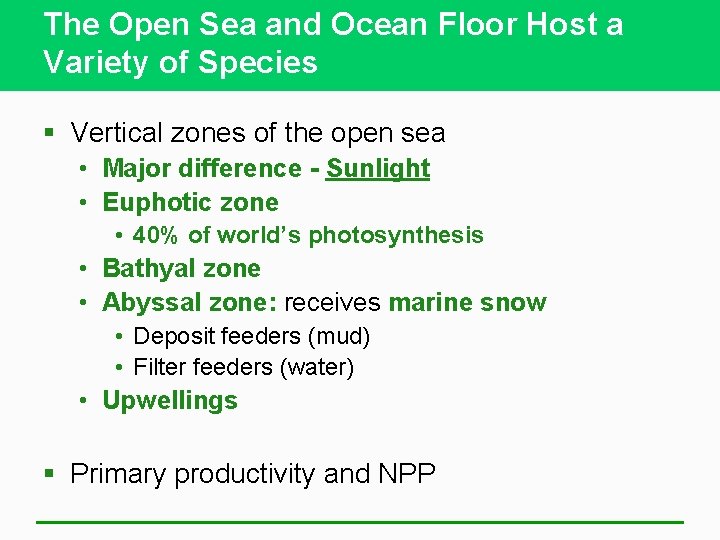 The Open Sea and Ocean Floor Host a Variety of Species § Vertical zones