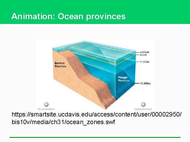 Animation: Ocean provinces https: //smartsite. ucdavis. edu/access/content/user/00002950/ bis 10 v/media/ch 31/ocean_zones. swf 