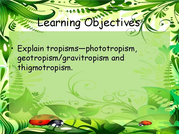 Learning Objectives • Explain tropisms—phototropism, geotropism/gravitropism and thigmotropism. 