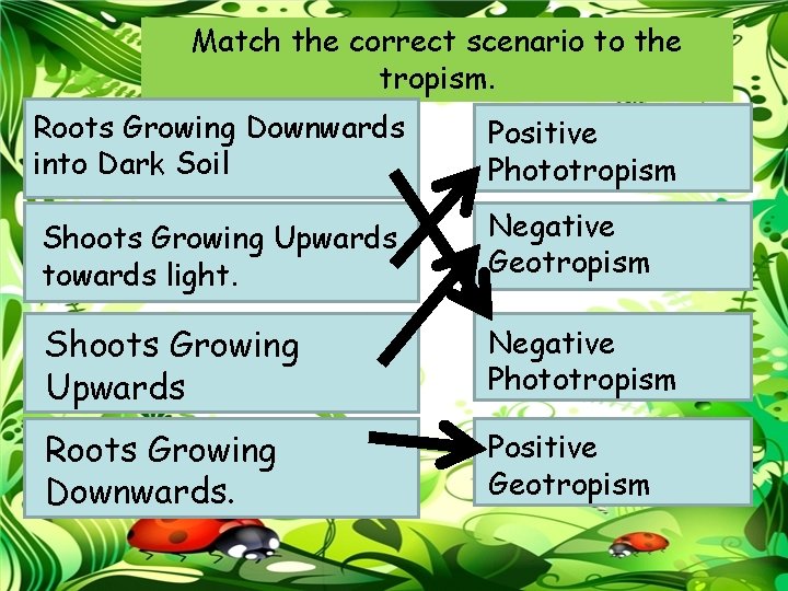 Match the correct scenario to the tropism. Roots Growing Downwards into Dark Soil Positive