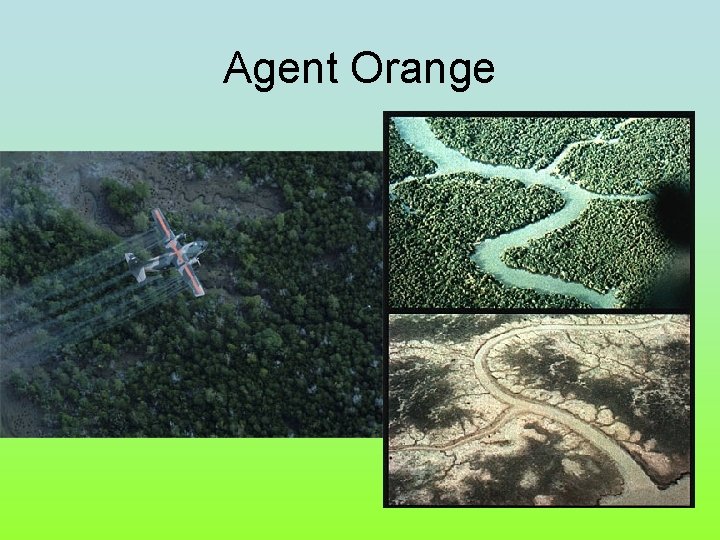 Agent Orange 