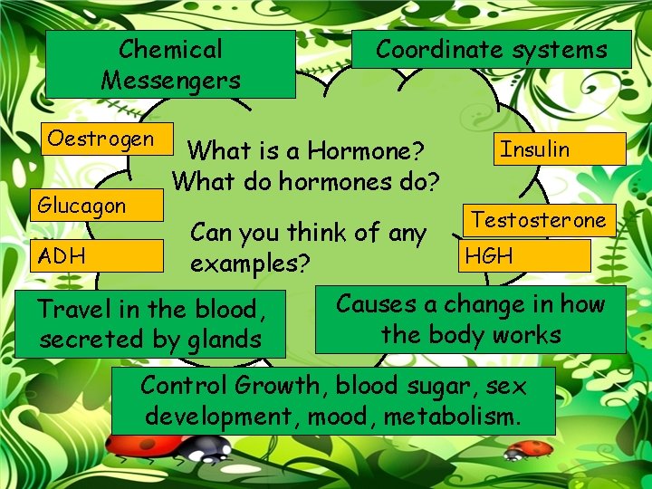 Chemical Messengers Oestrogen Glucagon ADH Coordinate systems What is a Hormone? What do hormones