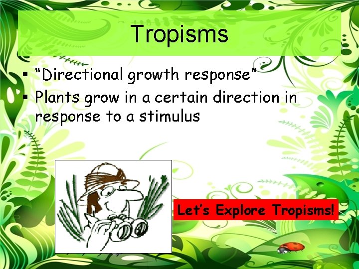 Tropisms § “Directional growth response” § Plants grow in a certain direction in response