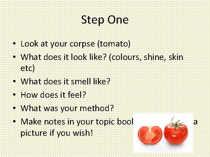 Step One • Look at your corpse (tomato) • What does it look like?