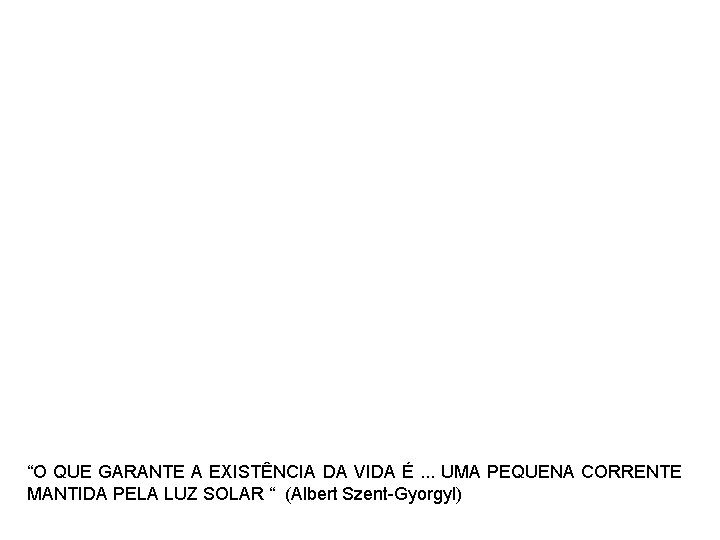 “O QUE GARANTE A EXISTÊNCIA DA VIDA É. . . UMA PEQUENA CORRENTE MANTIDA