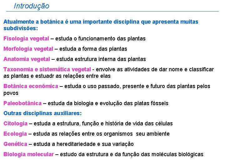 Introdução Atualmente a botânica é uma importante disciplina que apresenta muitas subdivisões: Fisologia vegetal