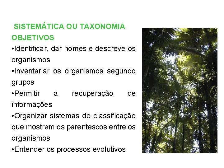 SISTEMÁTICA OU TAXONOMIA OBJETIVOS • Identificar, dar nomes e descreve os organismos • Inventariar