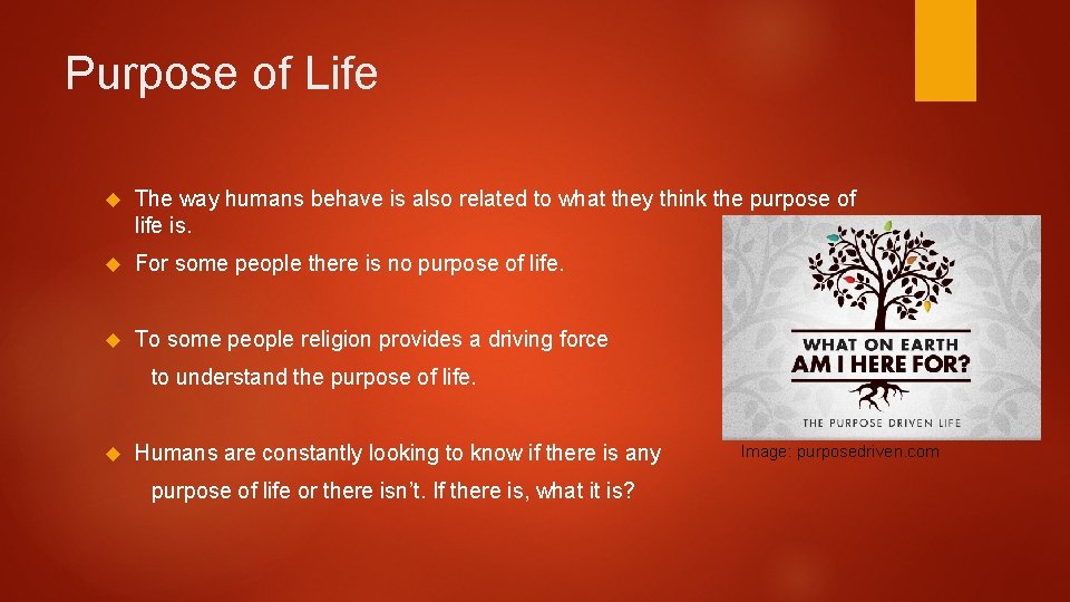 Purpose of Life The way humans behave is also related to what they think Purpose of Life The way humans behave is also related to what they think