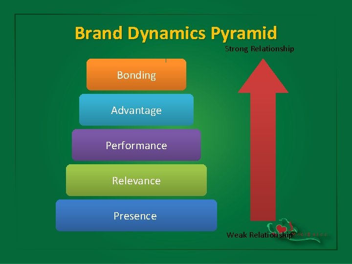 Brand Dynamics Pyramid Strong Relationship Bonding Advantage Performance Relevance Presence Weak Relationship 