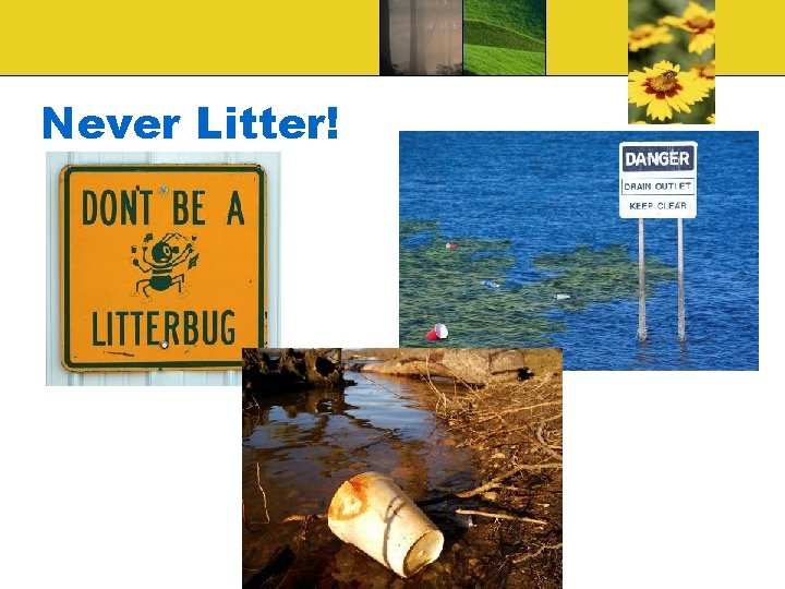Never Litter! 