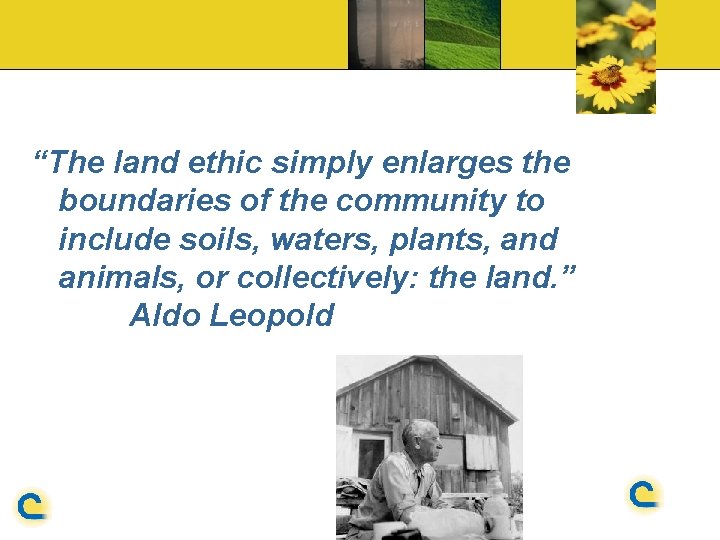 “The land ethic simply enlarges the boundaries of the community to include soils, waters,