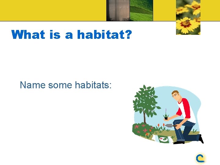 What is a habitat? Name some habitats: 