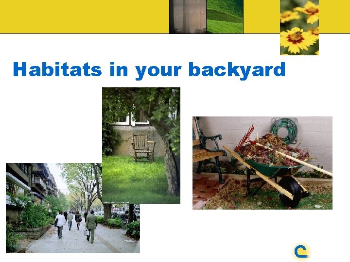 Habitats in your backyard 