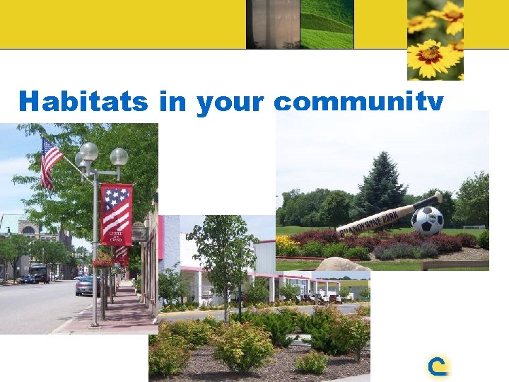 Habitats in your community 