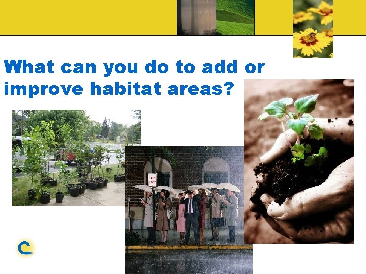 What can you do to add or improve habitat areas? 