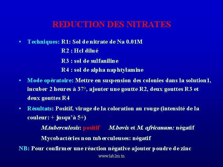 REDUCTION DES NITRATES • Techniques: R 1: Sol de nitrate de Na 0. 01