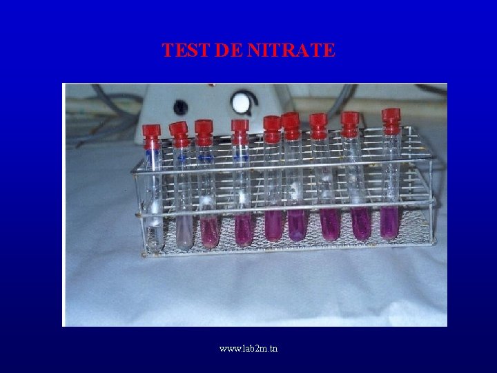 TEST DE NITRATE www. lab 2 m. tn 