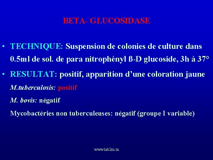 BETA- GLUCOSIDASE • TECHNIQUE: Suspension de colonies de culture dans 0. 5 ml de