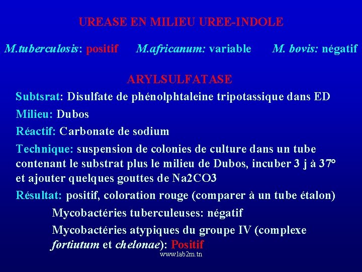 UREASE EN MILIEU UREE-INDOLE M. tuberculosis: positif M. africanum: variable M. bovis: négatif ARYLSULFATASE