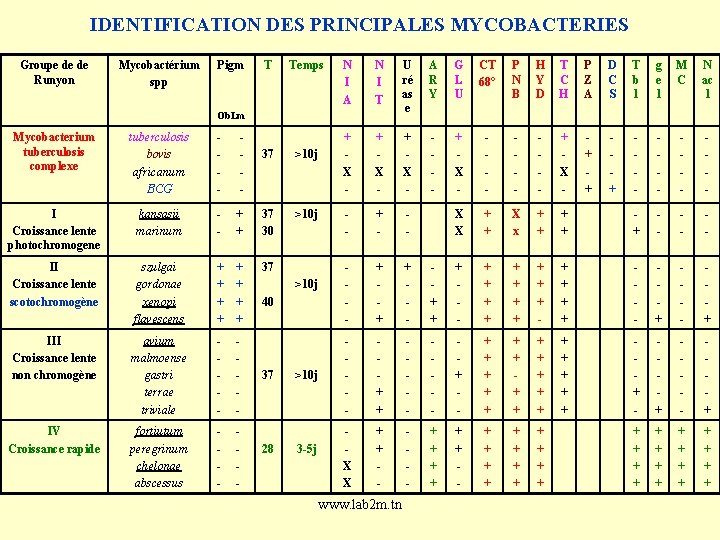 IDENTIFICATION DES PRINCIPALES MYCOBACTERIES Groupe de de Runyon Mycobactérium spp Pigm T Temps N