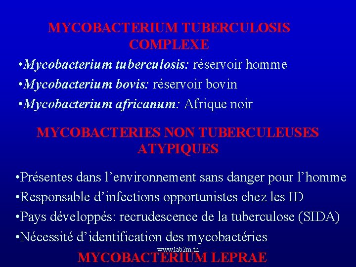 MYCOBACTERIUM TUBERCULOSIS COMPLEXE • Mycobacterium tuberculosis: réservoir homme • Mycobacterium bovis: réservoir bovin •