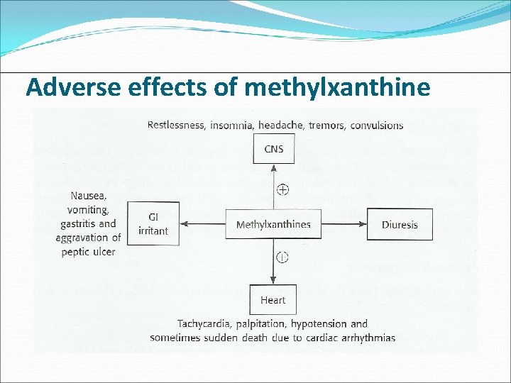 Adverse effects of methylxanthine 