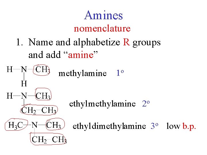 Amines nomenclature 1. Name and alphabetize R groups and add “amine” methylamine 1 o