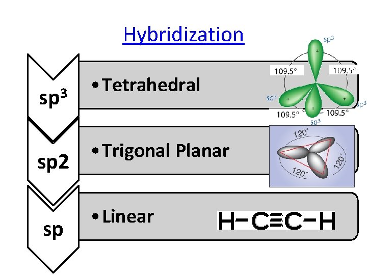 Hybridization sp 3 sp 2 sp • Tetrahedral • Trigonal Planar • Linear Hybridization sp 3 sp 2 sp • Tetrahedral • Trigonal Planar • Linear