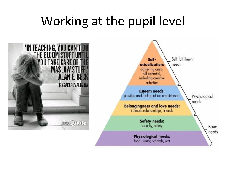 Working at the pupil level 