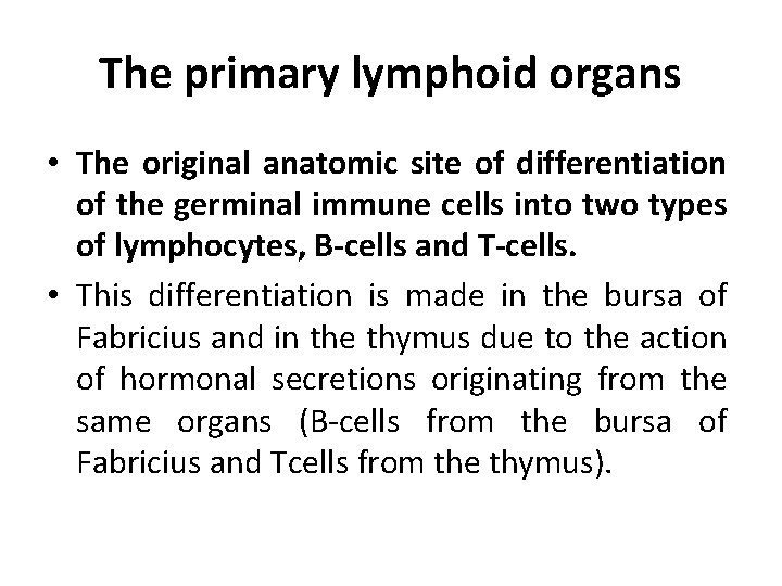 The primary lymphoid organs • The original anatomic site of differentiation of the germinal