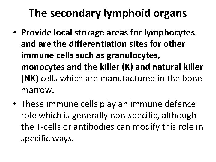 The secondary lymphoid organs • Provide local storage areas for lymphocytes and are the