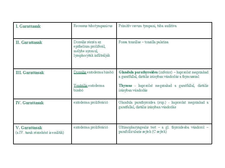 I. Garattasak Recessus tubotympanicus Primitív cavum tympani, tuba auditiva II. Garattasak Dorsális részén az