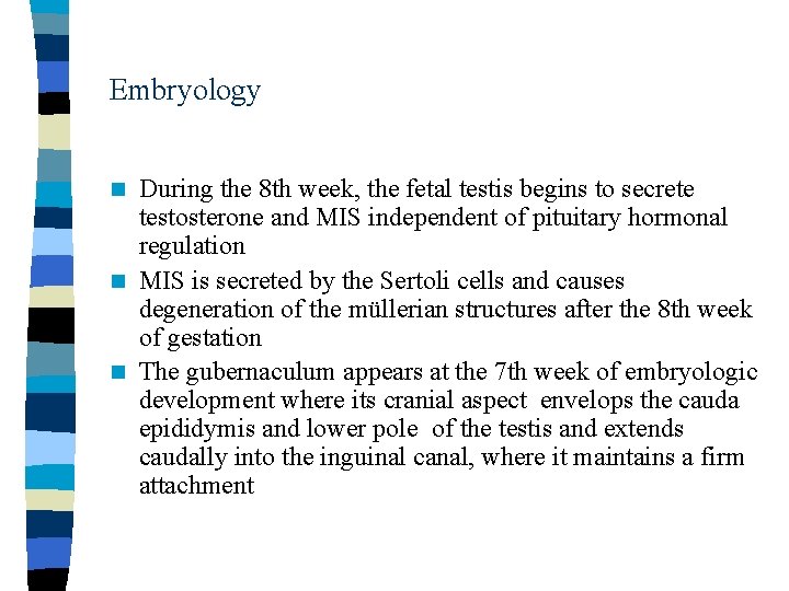 Embryology During the 8 th week, the fetal testis begins to secrete testosterone and