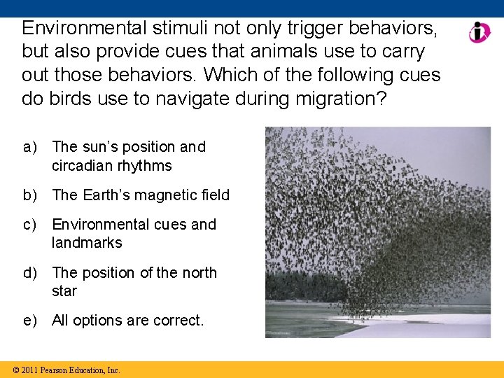 Environmental stimuli not only trigger behaviors, but also provide cues that animals use to