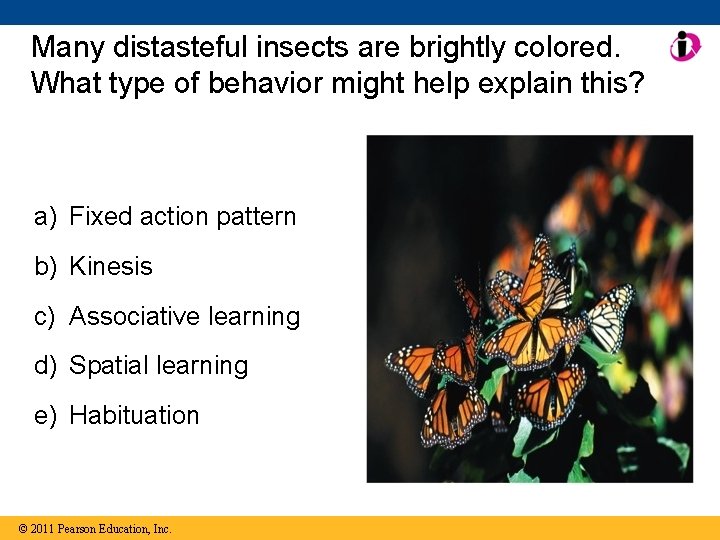 Many distasteful insects are brightly colored. What type of behavior might help explain this?