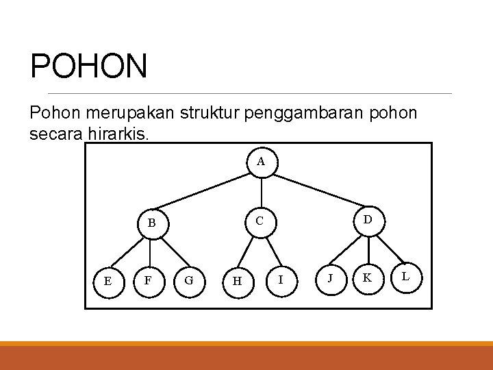 POHON Pohon merupakan struktur penggambaran pohon secara hirarkis. A E F D C B